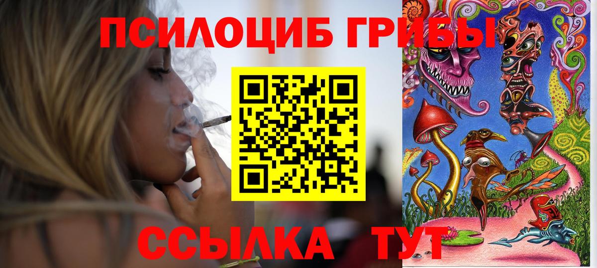 Костомукша  где купить наркотик  Вход с VPN  Псилоцибиновые грибы Magic Shrooms  Галлюциногенные грибы Psilocybe 