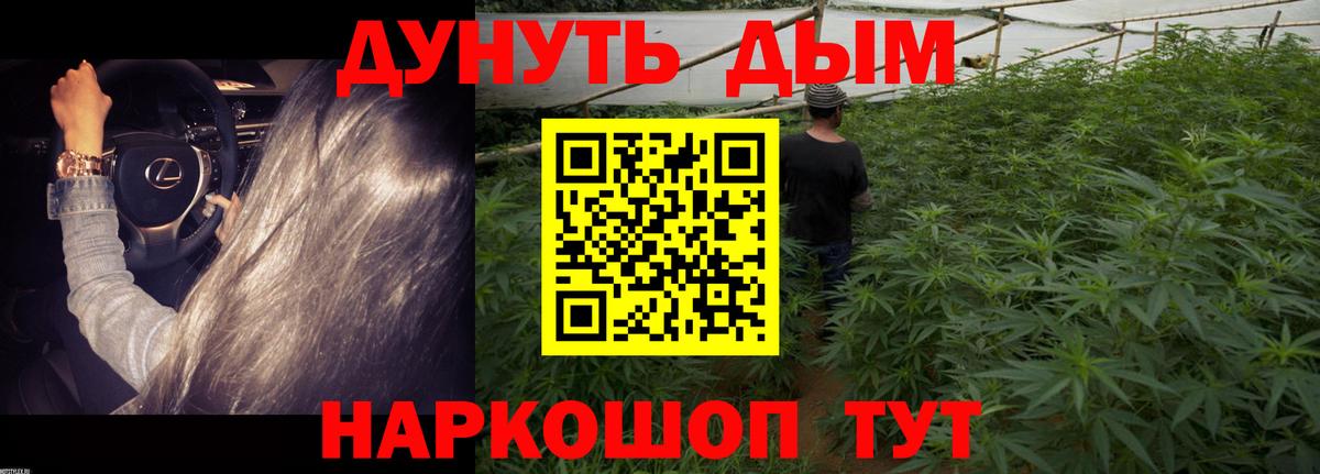 Марихуана план  Марихуана марихуана  Костомукша  Вход с VPN  Бошки марихуана гибрид 